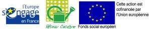 logo-union-europeene+FSE+reseau_cocagne_2012