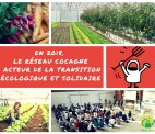Conférence : les Jardins de Cocagne dans les filières bio solidaires pour une transition écologique et sociale de l’alimentation