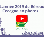 2019 en photos – Rapport d’activités du Réseau Cocagne